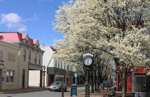 Valley Vista-Mins to SkylineDrive-Hot Tub-King, Queen Beds - Foto 7