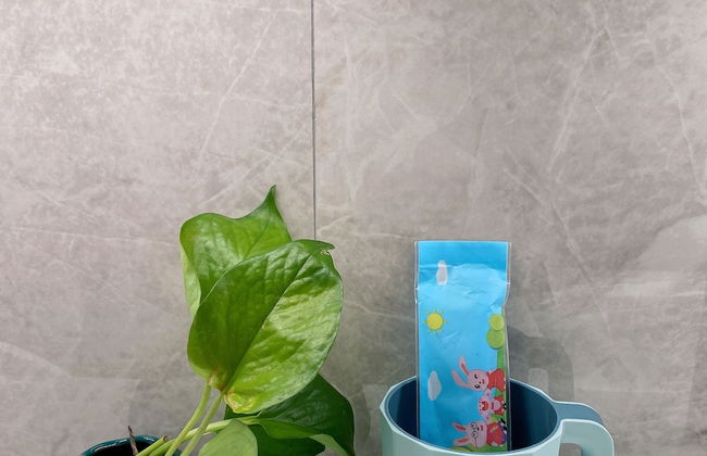 chongqingyitangfuwugongyu - Foto 42