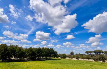 Villa PARADISO - Tra Ulivi e Tramonti da Cartolina - Foto 12