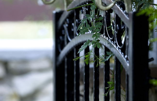 Vederi Estate - Photo 70