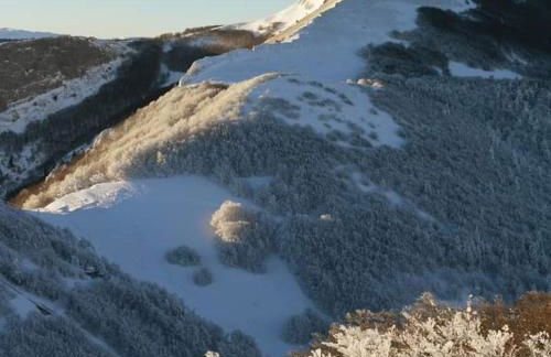 VILLARD DE LANS - Foto 2