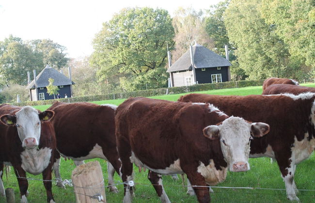 Cozy House near River - Photo 30