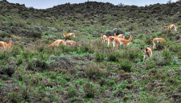 Villavicencio Reserve Trip - Foto 4