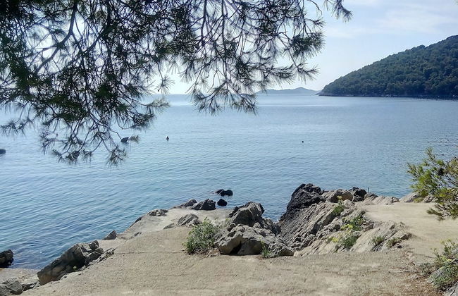 Apartmani Ančila - Foto 20