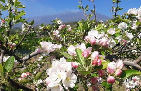 Nake Residenza Artistica - Foto 41