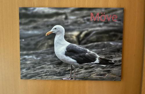 Ostseedomizil "Ankerbuk", Ferienwohnung Möwe - Foto 22