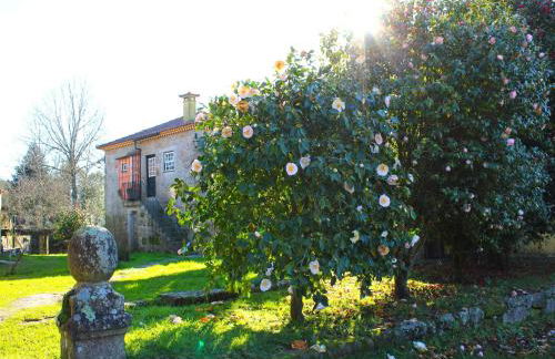 Cottage in Santa Comba With Pool - Photo 59