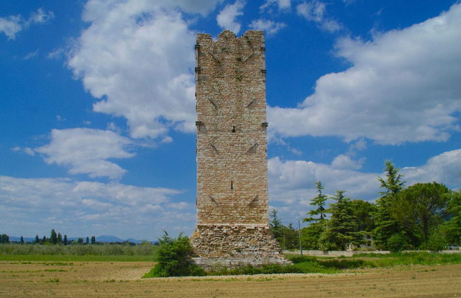Apartment in a Farmhouse in Spello - Photo 23