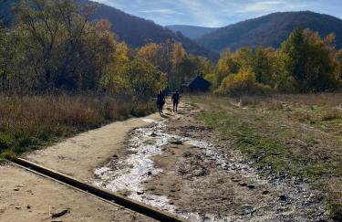 Apartamenty Otulina - Foto 49