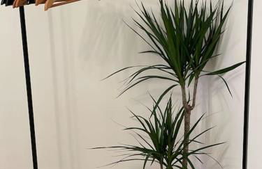 Schöne 2 Zimmer Wohnung Kingsize-Bett - Foto 16