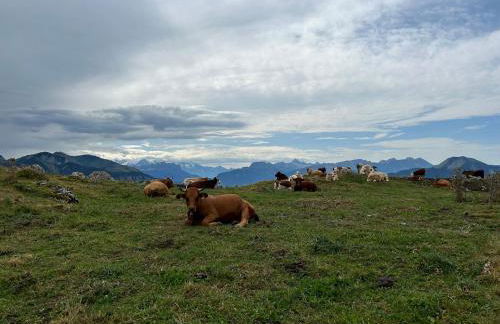 Appartement PRAZ DE LYS TMB - Foto 11