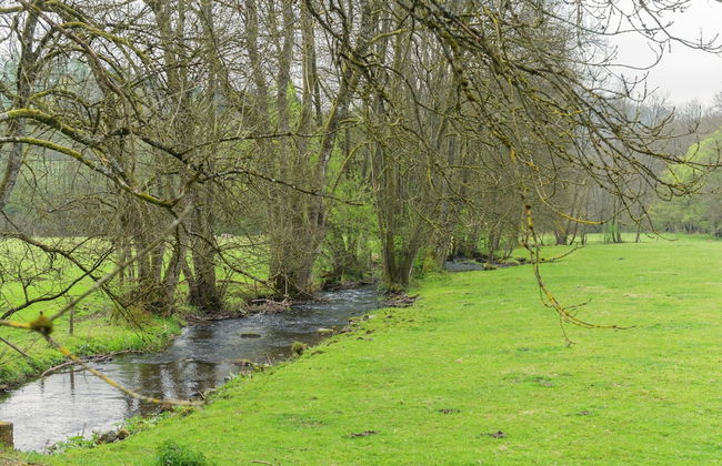 Comfort Stay in Carlsbourg - Photo 40