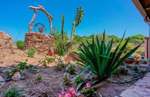 L'Oasi del Cervo - Foto 6