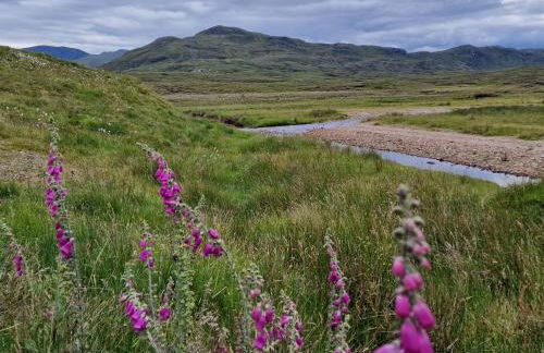 Gorse Gorgeous Glamping Hideaway - Foto 28