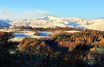 Ty Farm Retreat - Farmhouse Studio - Mountain View - Foto 9