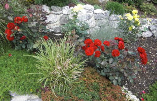 Ferienwohnung am Rosengarten - Foto 11