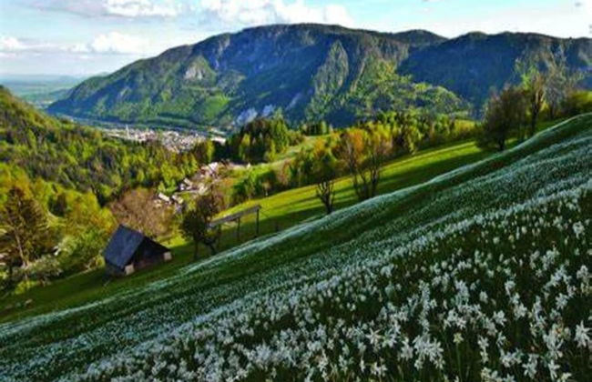 Majestic Apartment in Meribel-mottaret Close to Skiing - Foto 37