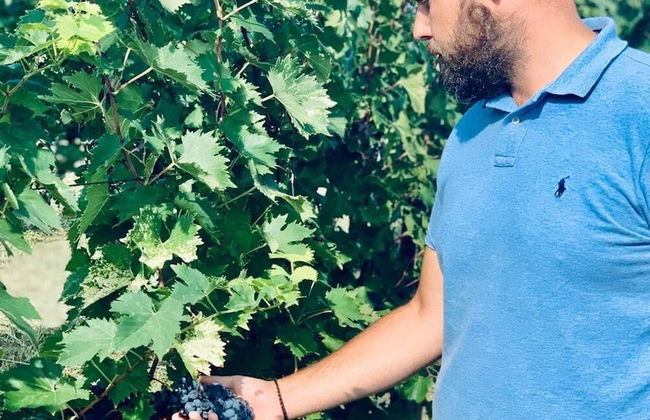 Agriturismo Borgo il Mezzanino - Foto 47