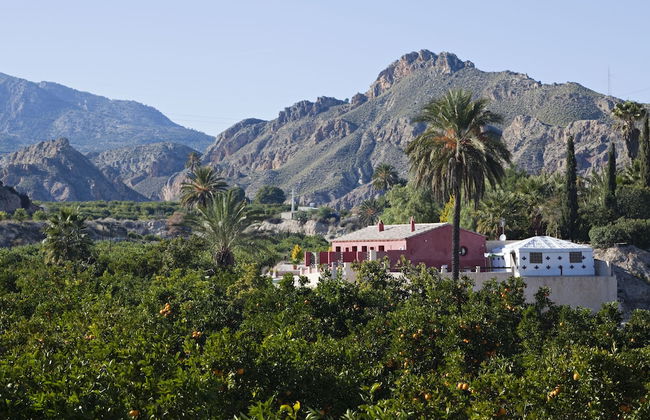 La Joya del Valle de Ricote - Photo 1