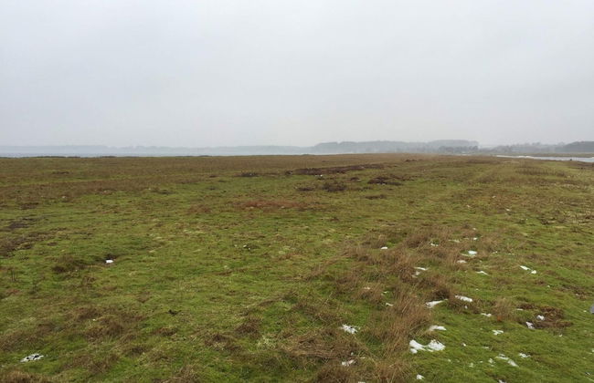 Bright Family Cottage by Kelstrup Beach - Foto 4