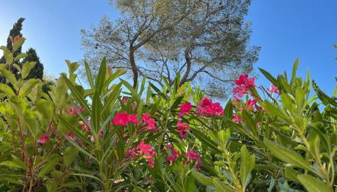 Les Calanques de Saint-Aygulf - Foto 2, Garden view