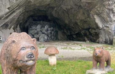 Ferienhaus Rübeland - Foto 25