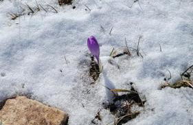 Casa Ludovici - Foto 36