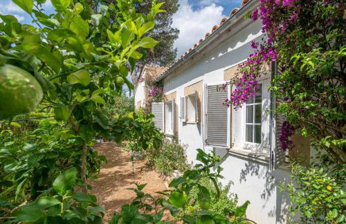 Villa Romana Bonaire - Foto 25