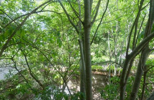 3 Bed-Sleeps 6-Balcony-Pets-Parking-Town Centre - Foto 12