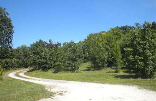 Maison de Vacances de Récailleau - Foto 19