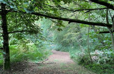 Château Doré les Tours - Appartement Loup - Proche Puy du Fou - Photo 50