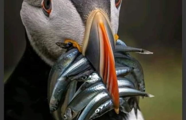 Stunning Tory Island Apartment - Foto 8