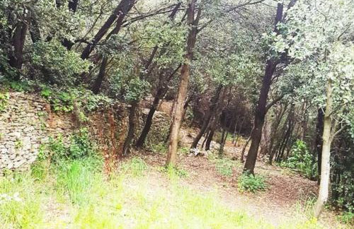 Cévennes Méridionales maison linge fourni - Foto 58