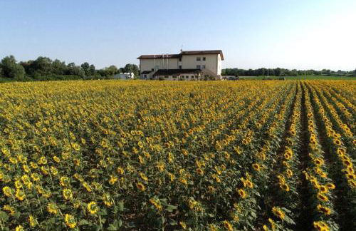 Al Cavaliere - Foto 28