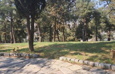 Alsos Home - Foto 19