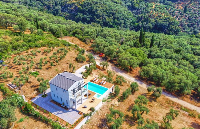 Olivista in Platonas - Foto 50