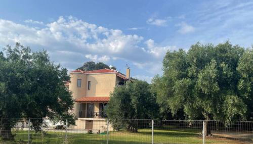 Κάμπος - Foto 3