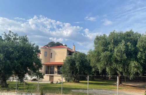 Κάμπος - Foto 3