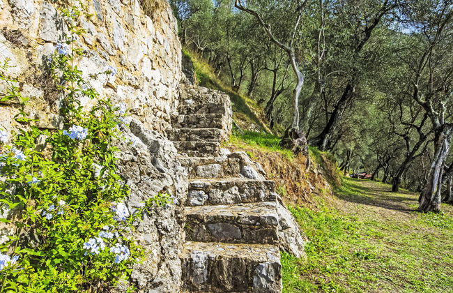 La Capannella - Foto 31