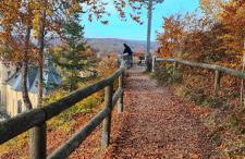 Kleines Waldglück in der Fränkischen Schweiz - Foto 15