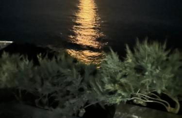 Casa da Salga - Photo 26