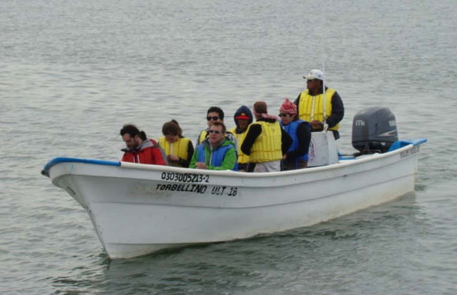 Magdalena Bay Whale Watching - Foto 8