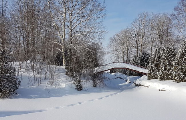 Domaine des Trois-Îles - Foto 17