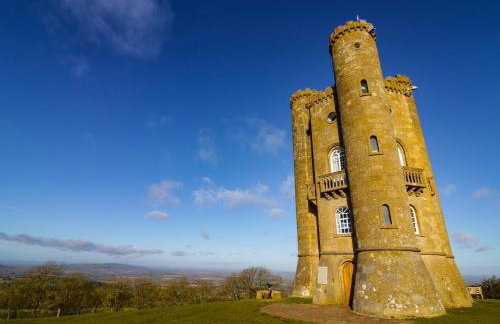 Alstroemeria - Photo 20