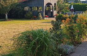 Willa Rubin - Foto 52