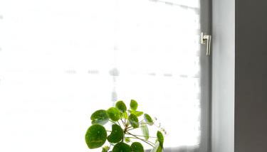 Zwei-Zimmer-Wohnung - Foto 3