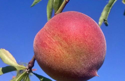 Casa Rural Casa Puntes - Photo 25