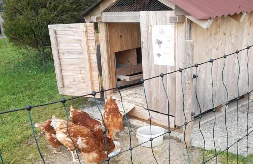 Andreashof - Foto 20