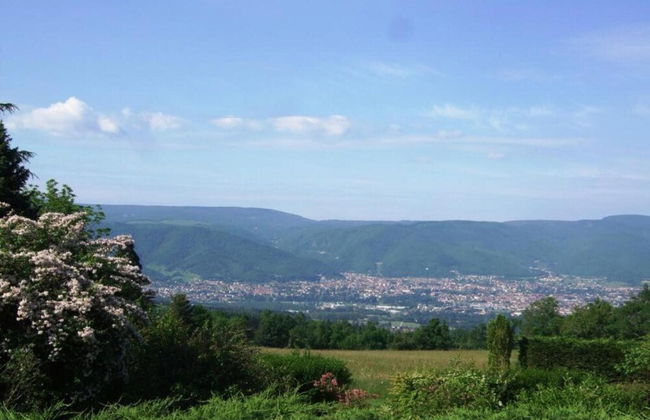 Villa in Mazamet With Private Pool - Foto 45