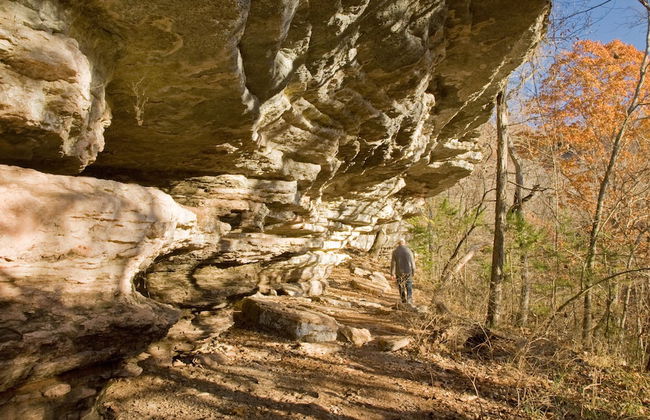 Beaver Lake Cottages - Foto 52